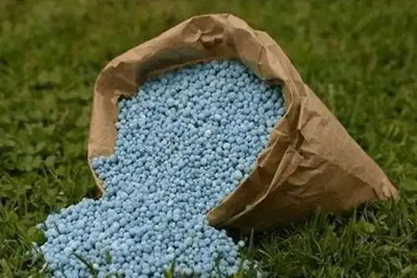 Food application