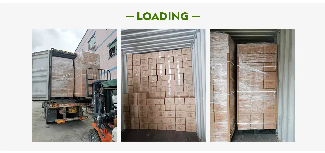Packaging and Shipping