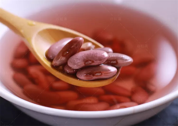 2024 Mejor Precio Frijol Rojo en Lata para Mayoristas