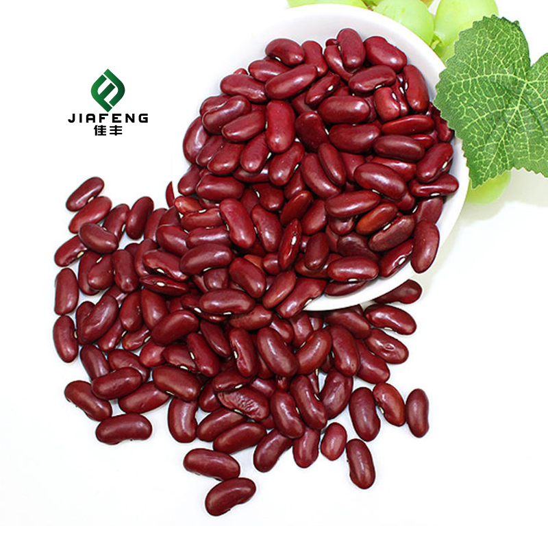 Buena calidad, comida deliciosa, frijoles rojos enlatados en salmuera
