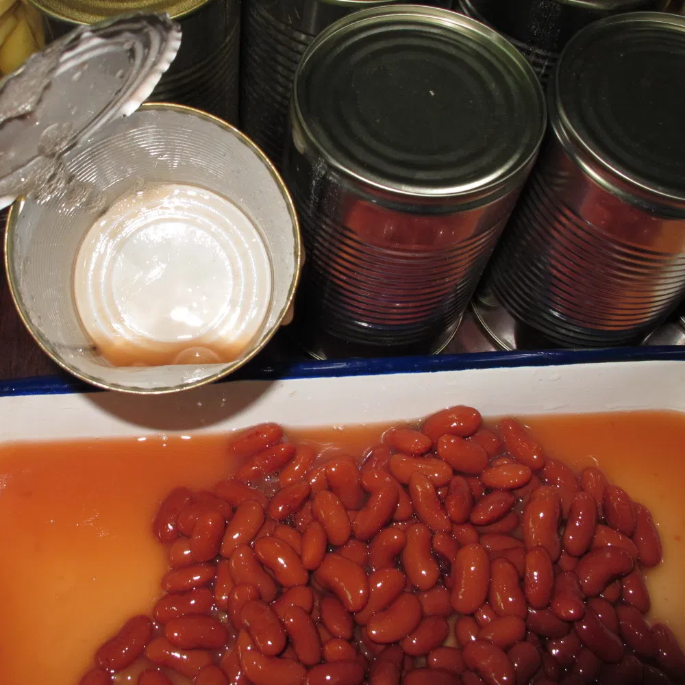 Frijol para venta al por mayor de alta calidad, frijol mungo orgánico, frijoles negros rojos