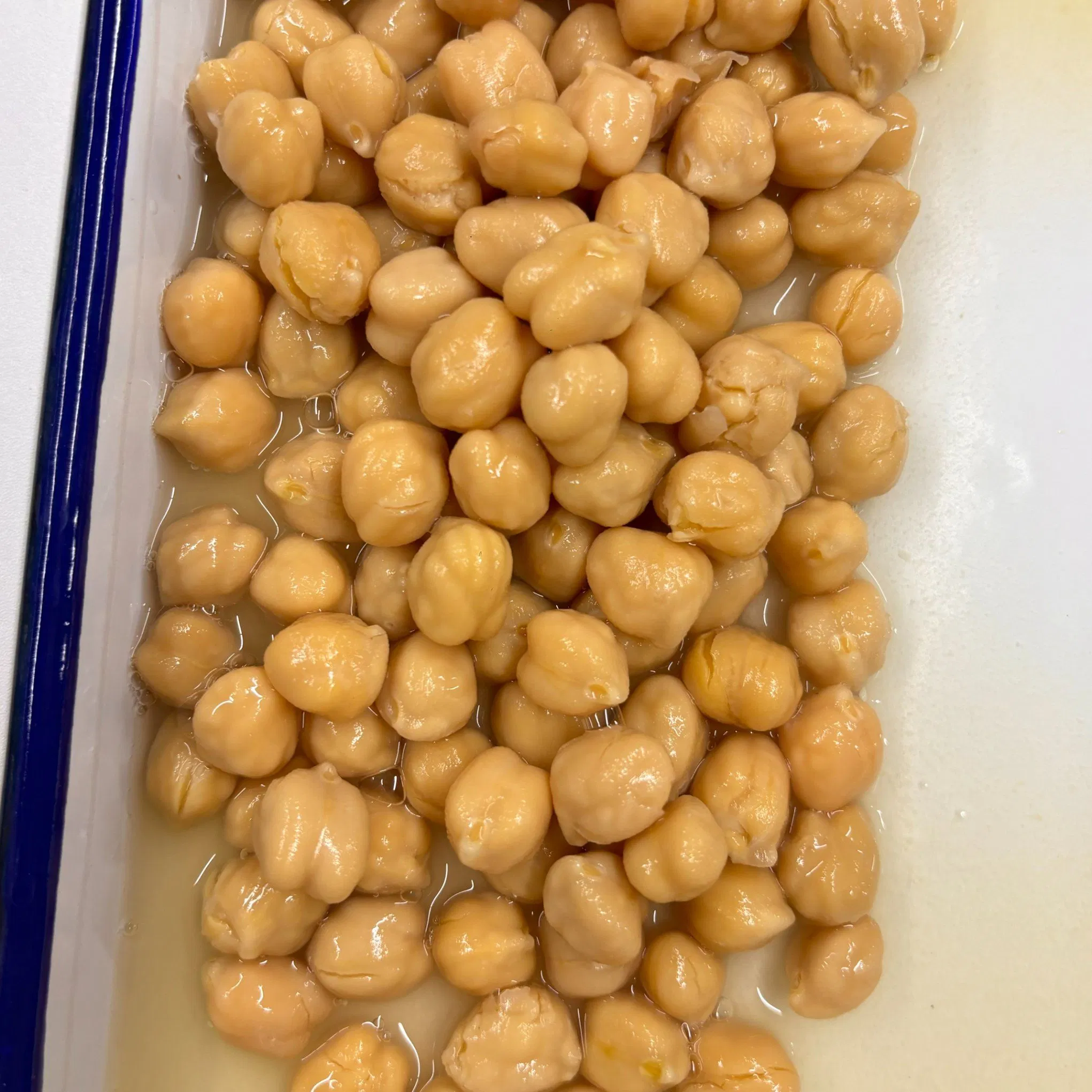 Deliciosos frijoles enlatados de nueva cosecha, garbanzos enlatados