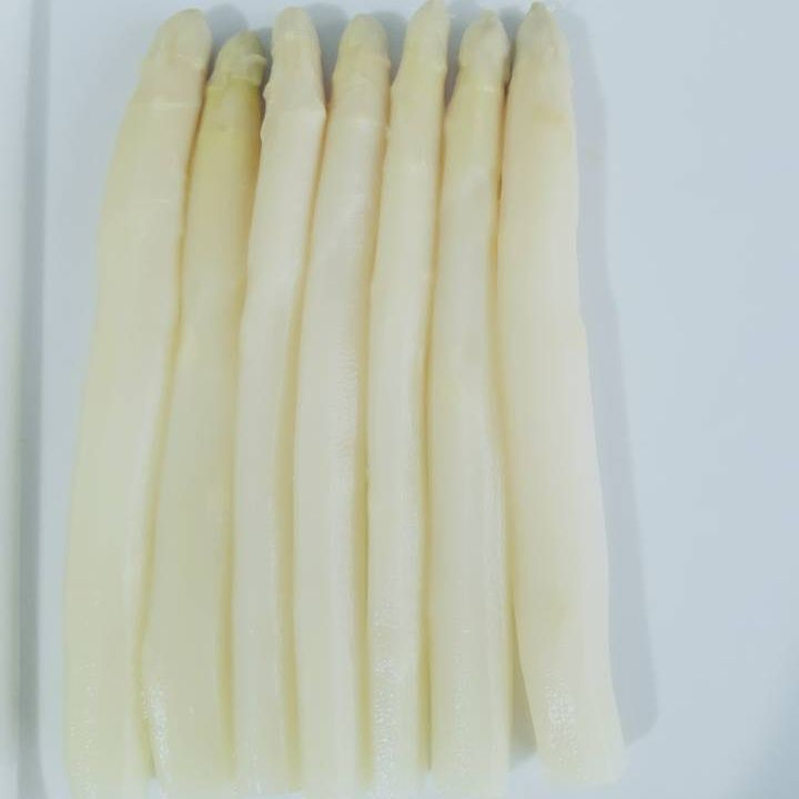 Espárragos blancos enlatados de super alta calidad en salmuera - Proveedor principal de OEM en China