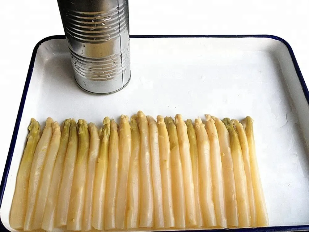 Espárrago enlatado en conserva blanca en lata verduras enlatadas
