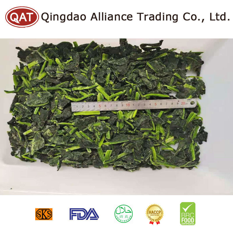Espinacas picadas congeladas IQF de calidad premium para comidas saludables