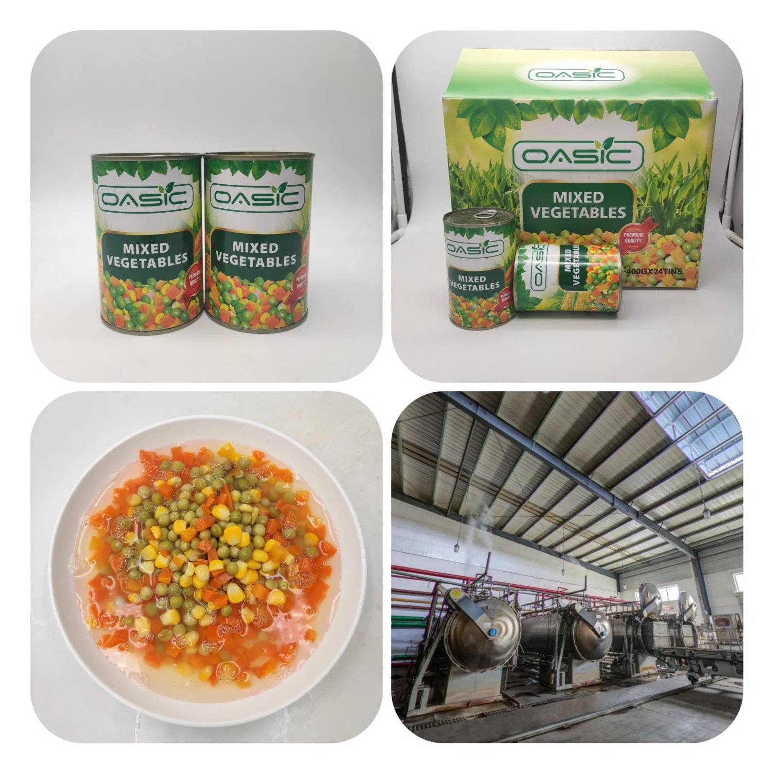 Verduras mixtas enlatadas de alta calidad al por mayor con apertura fácil
