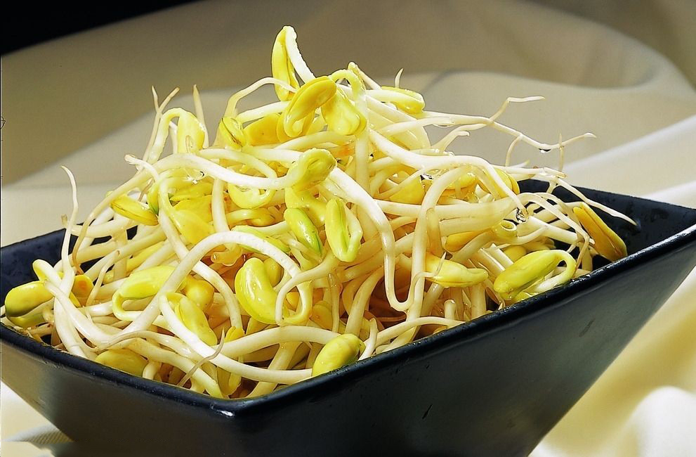 Brotes de soja y frijol mungo en tarro de vidrio en lata con el mejor sabor