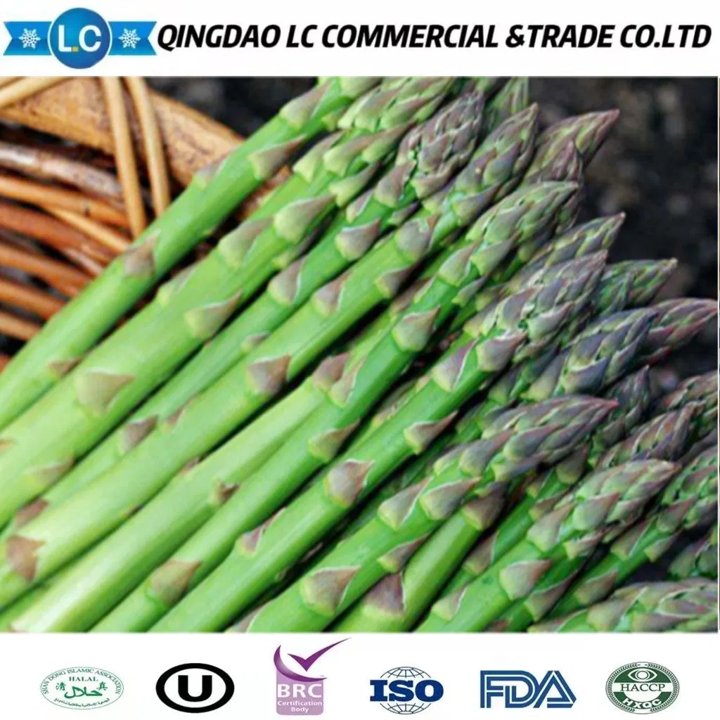 2023 Nuevos espárragos verdes congelados IQF