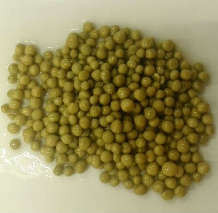 Guisantes enlatados a bajo precio de China
