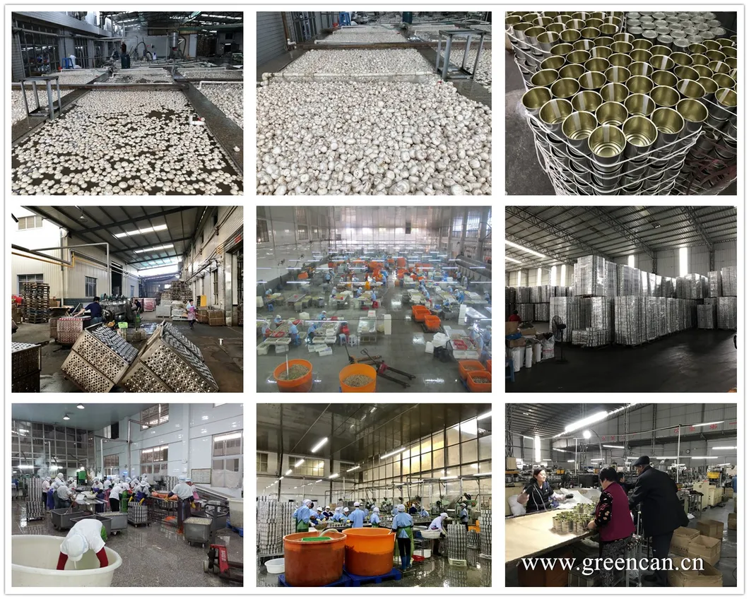 Embalaje de exportación