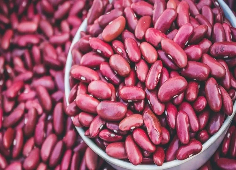 Frijoles listos para proceso