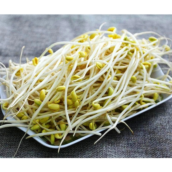 Frijoles de soya enlatados brote de judía verde en frasco de vidrio con sabor original