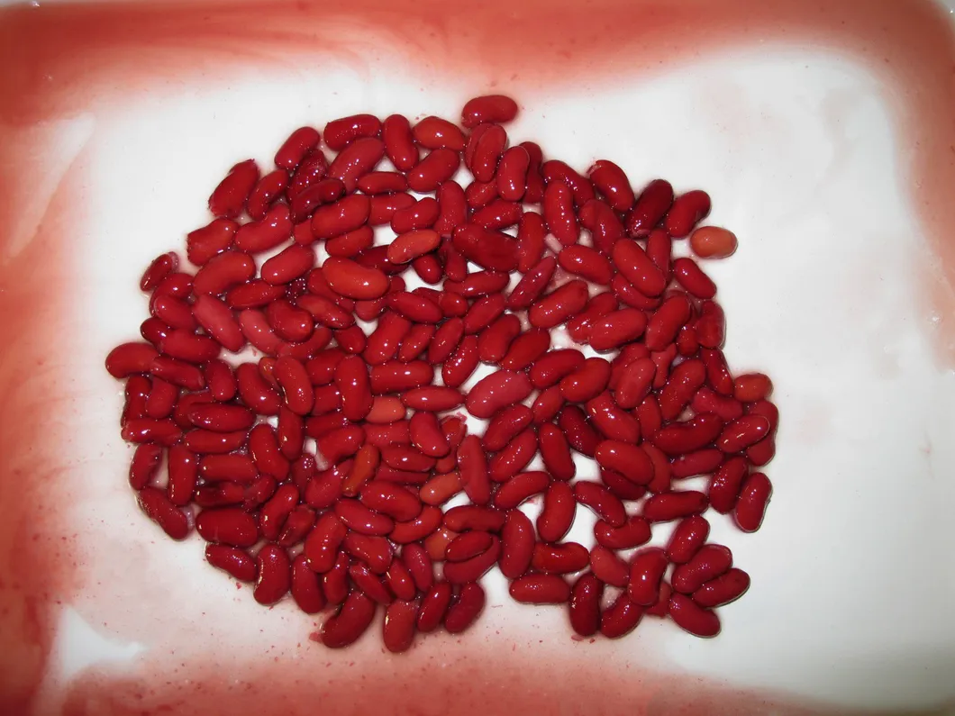 Frijoles rojos enlatados al por mayor de China con etiqueta privada