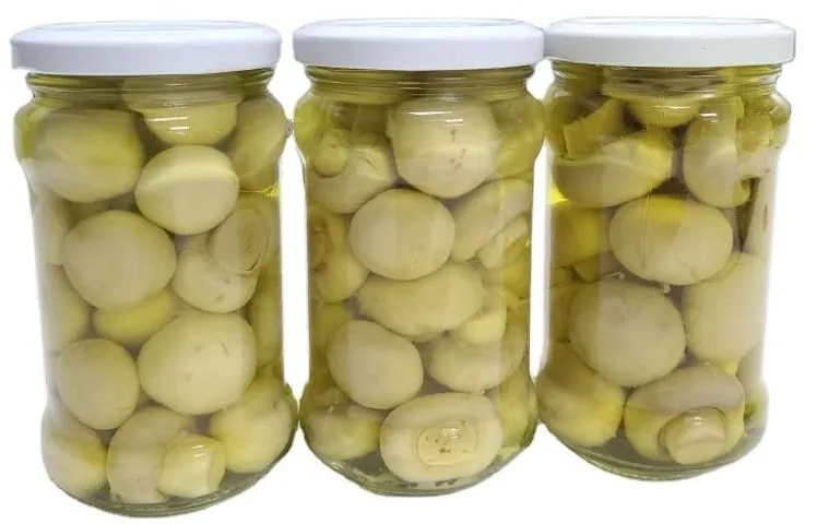 Champiñones enteros enlatados de calidad premium para cocinar y cenar