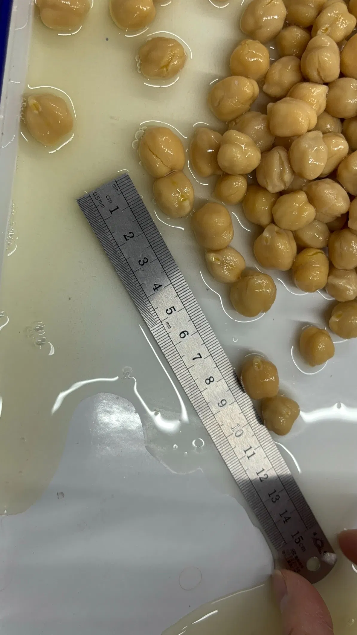Garbanzos enlatados deliciosamente nutritivos para una preparación de comidas versátil