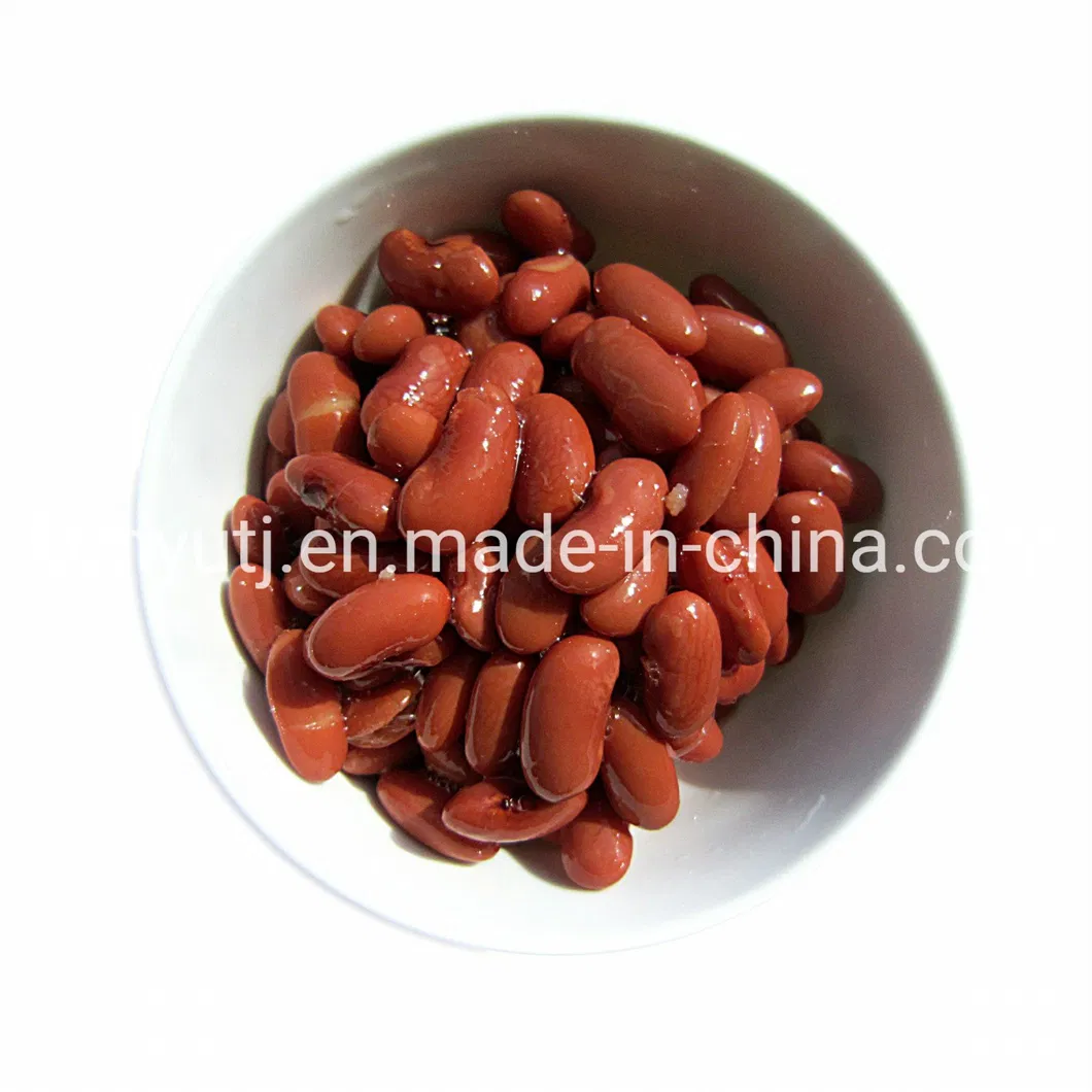 Frijoles Rojos en Lata de Alta Calidad