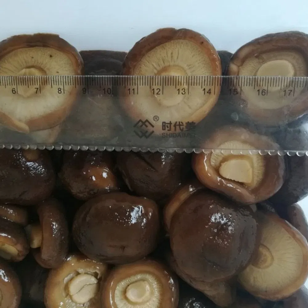 Rebanadas de tallo de champiñón shiitake enlatado ecológico para almuerzo de oficina