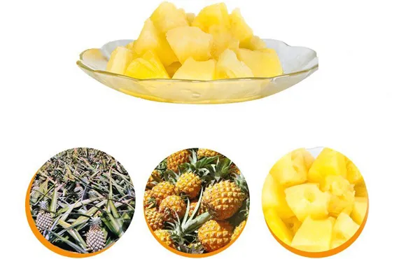 Fruta enlatada de piña en rodajas