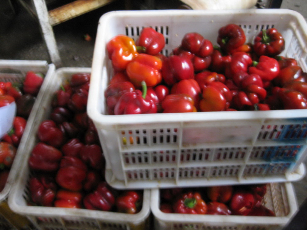 Mitades de Pimiento Rojo Dulce en Tarro de Vidrio