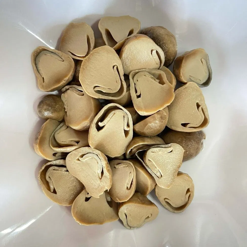 Champiñón enlatado al vapor estandarizado y ecológico para cadenas de comida rápida
