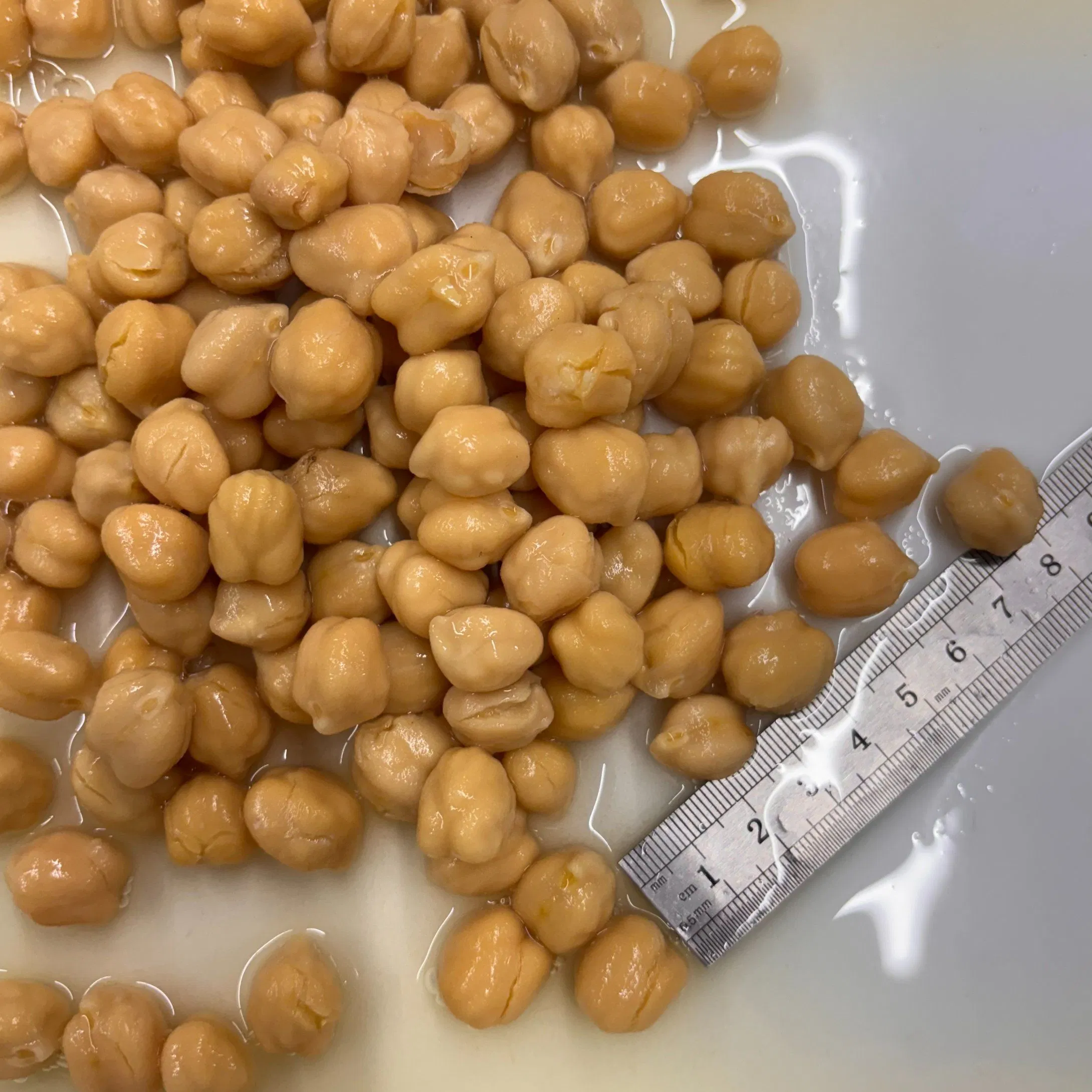 Garbanzos enlatados naturales de primera calidad