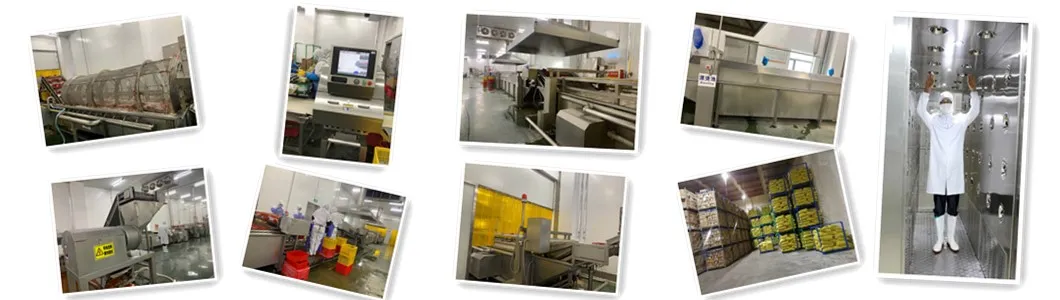 Nuestras instalaciones