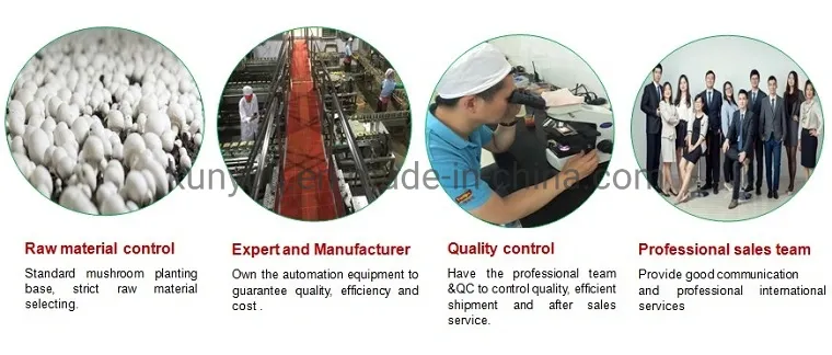 Control de calidad