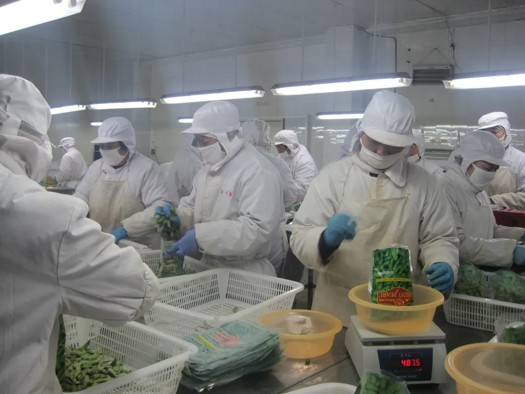 Precio del mercado de espárragos verdes congelados IQF