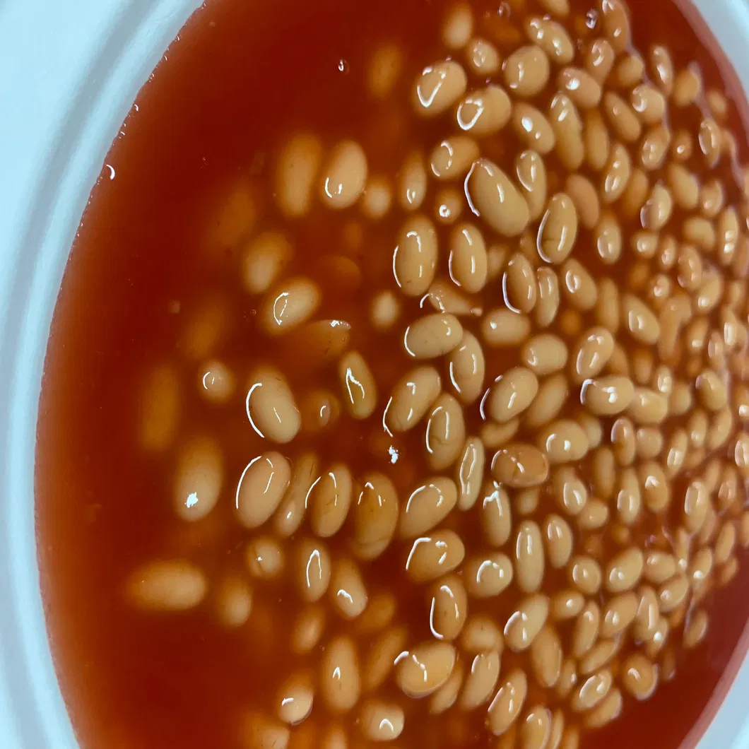 Frijoles enlatados Frijoles rojos enlatados de China