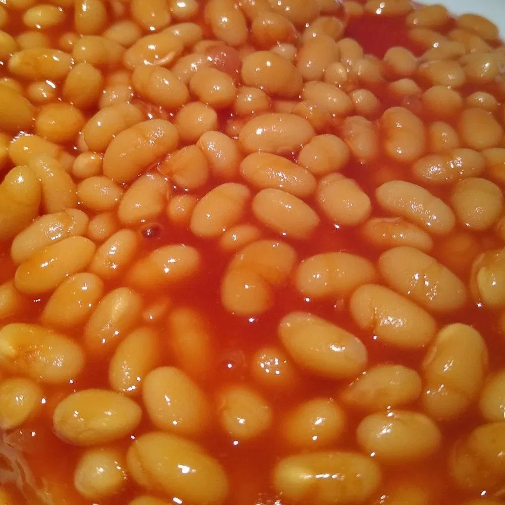 Conservas Conservas de frijoles cocidos Alubias precio barato