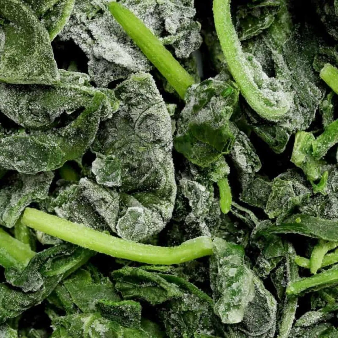 Plantas de procesamiento de alimentos y fabricantes de alimentos enlatados que buscan un inventario estable de materias primas y soluciones de precios competitivos directamente de fábrica Bloque de espinacas Bqf