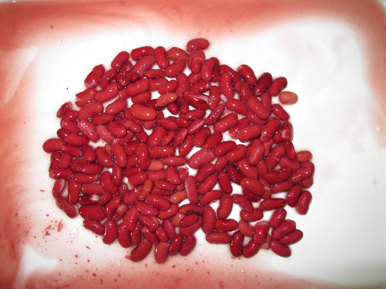 Frijoles enlatados Frijoles rojos enlatados de calidad premium