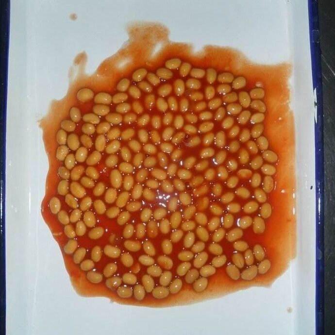 Alubias al horno en salsa de tomate de alta calidad y deliciosas