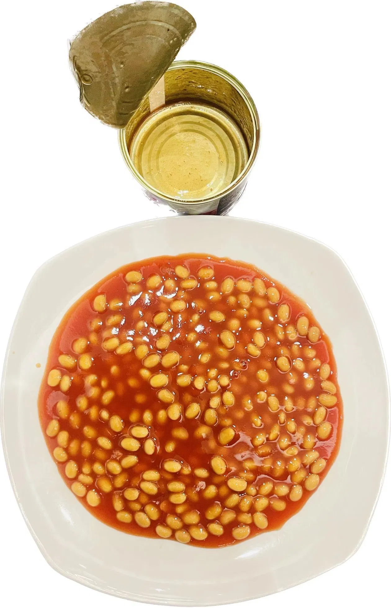 Venta Caliente de Verduras en Lata Frijoles al Horno en Salsa de Tomate de China
