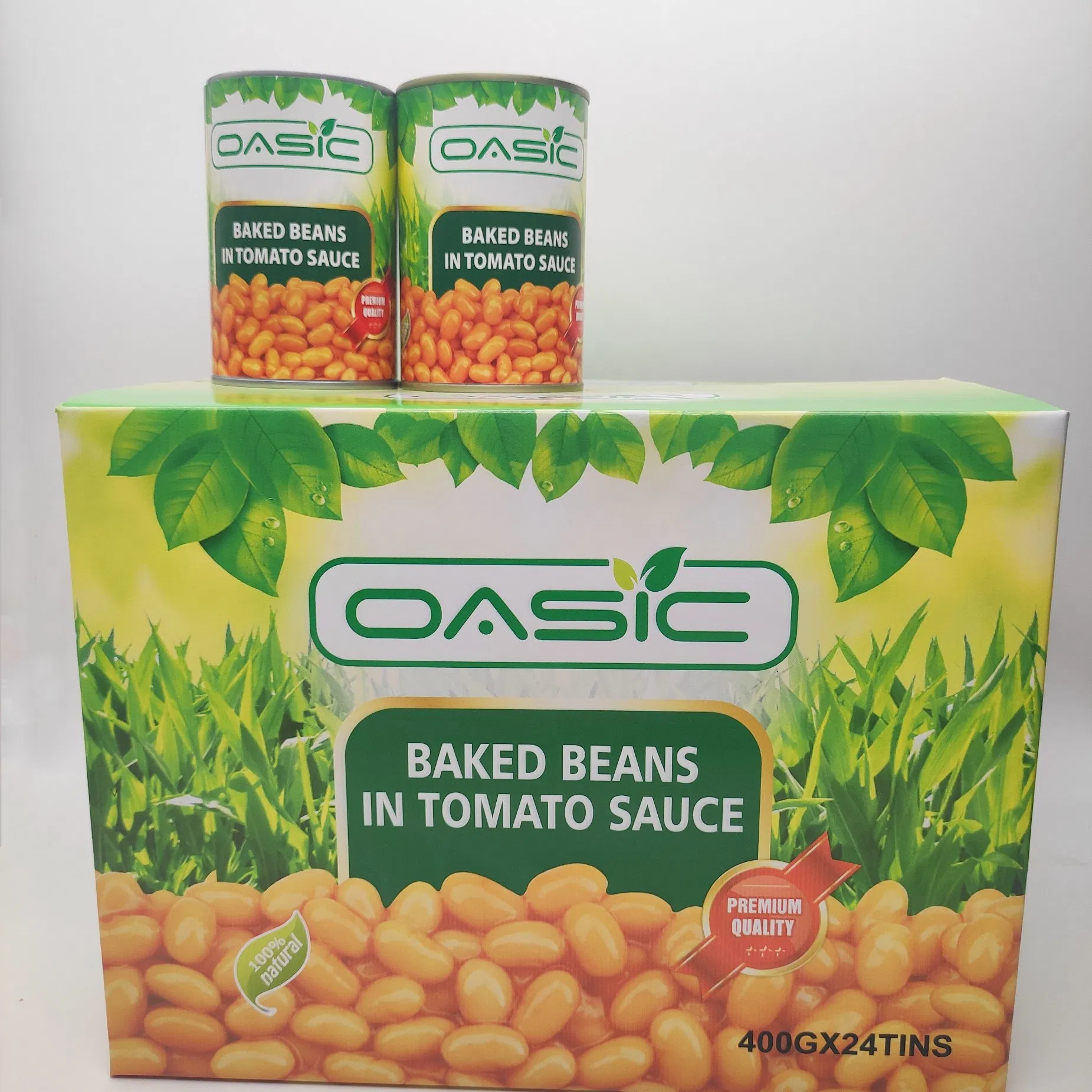 425g Precio mayorista de frijoles rojos enlatados al horno en salsa de tomate