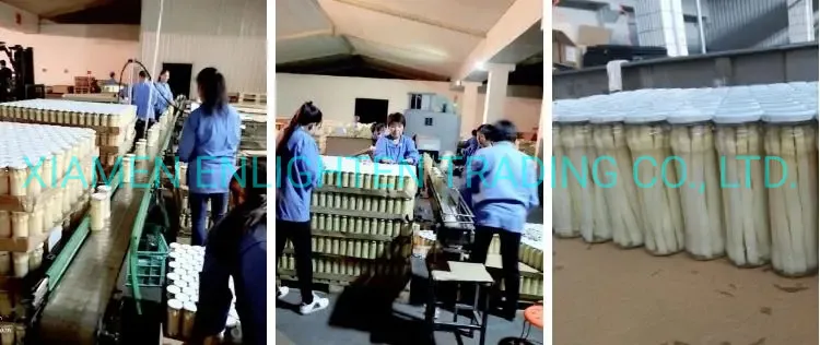 Proceso de producción