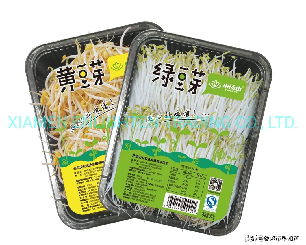 Frijoles de soya enlatados brote de judía verde en frasco de vidrio con sabor original