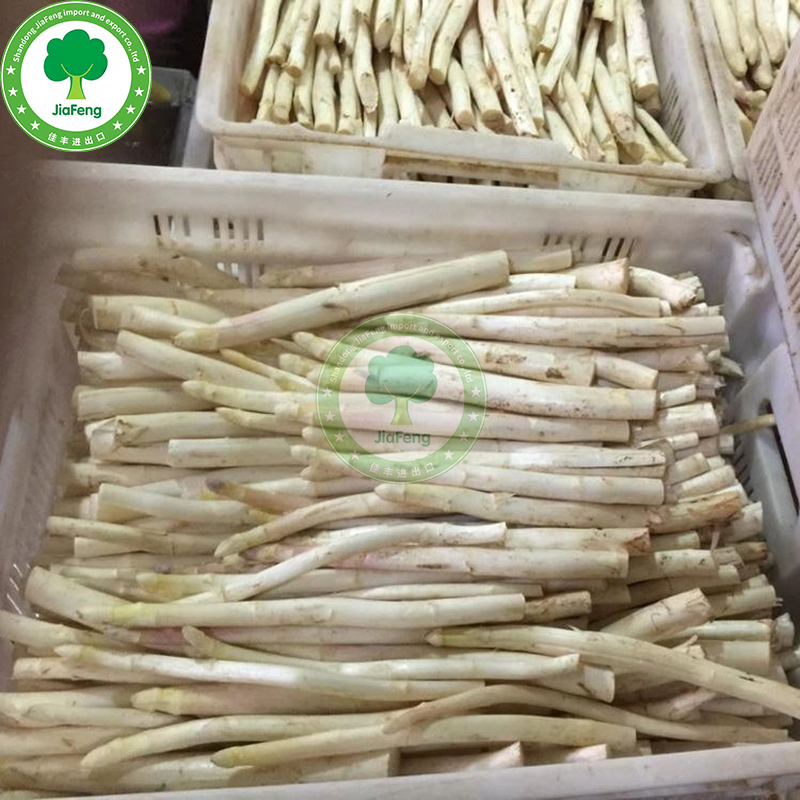 Espárragos en frascos de alta calidad enlatados, espárragos verdes y blancos en lata a precio de fábrica