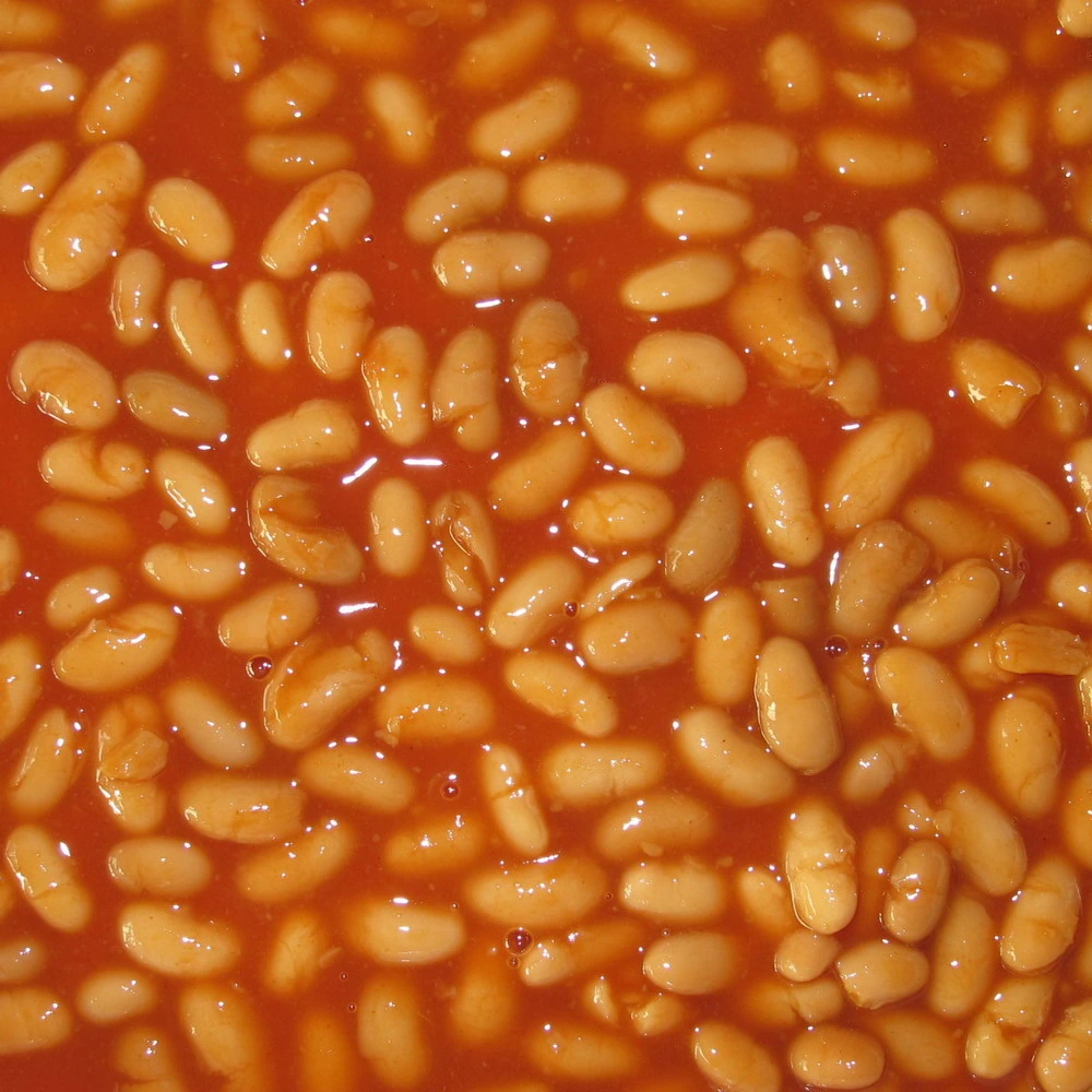 Comida enlatada frijoles horneados en salsa de tomate 400g