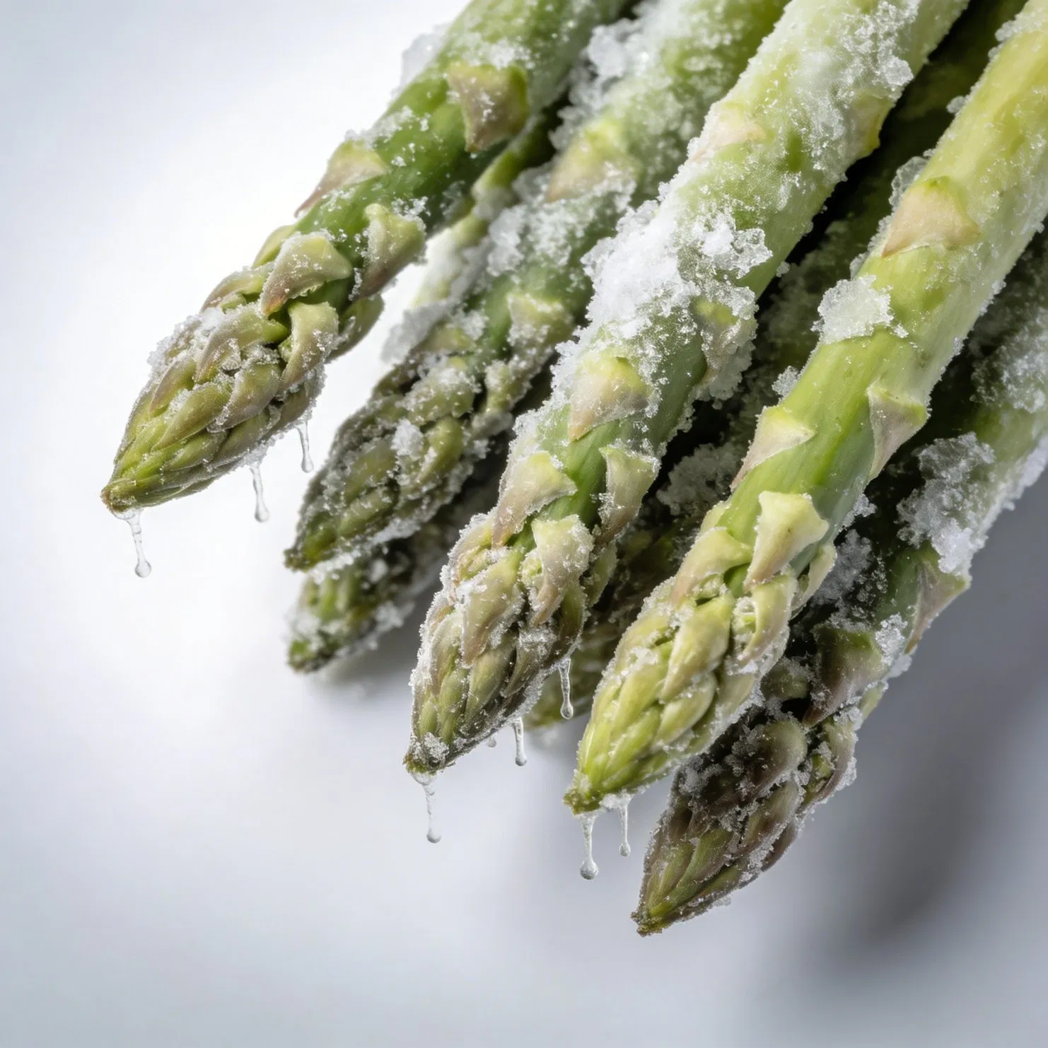 Importadores globales buscan material a granel de calidad consistente para la producción de comidas listas para comer y la fabricación de alimentos enlatados, cortes y puntas de espárragos