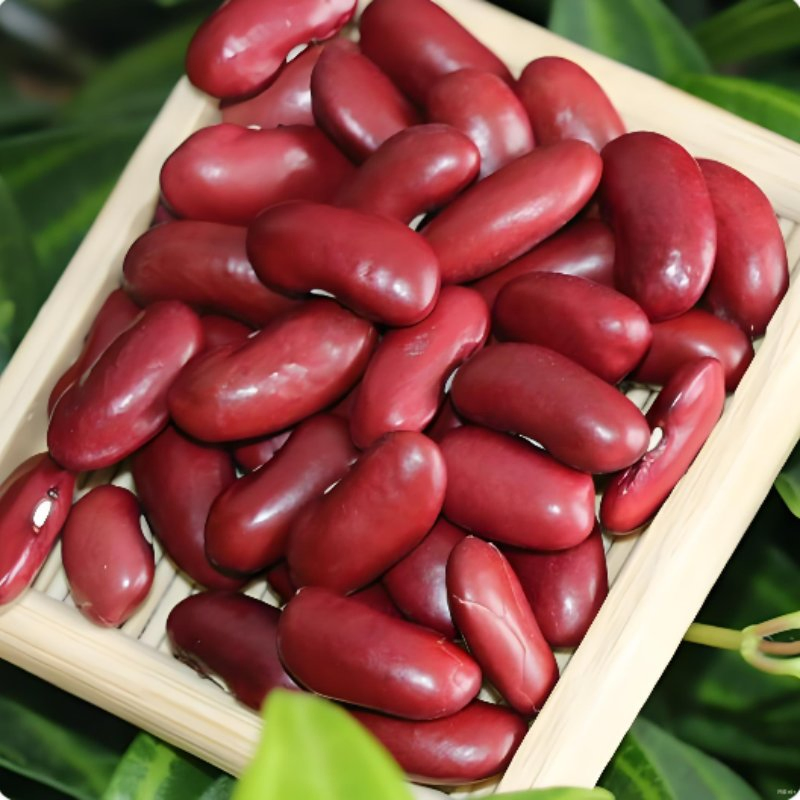 Frijoles Rojos en Lata en Jarabe Frijoles en Lata