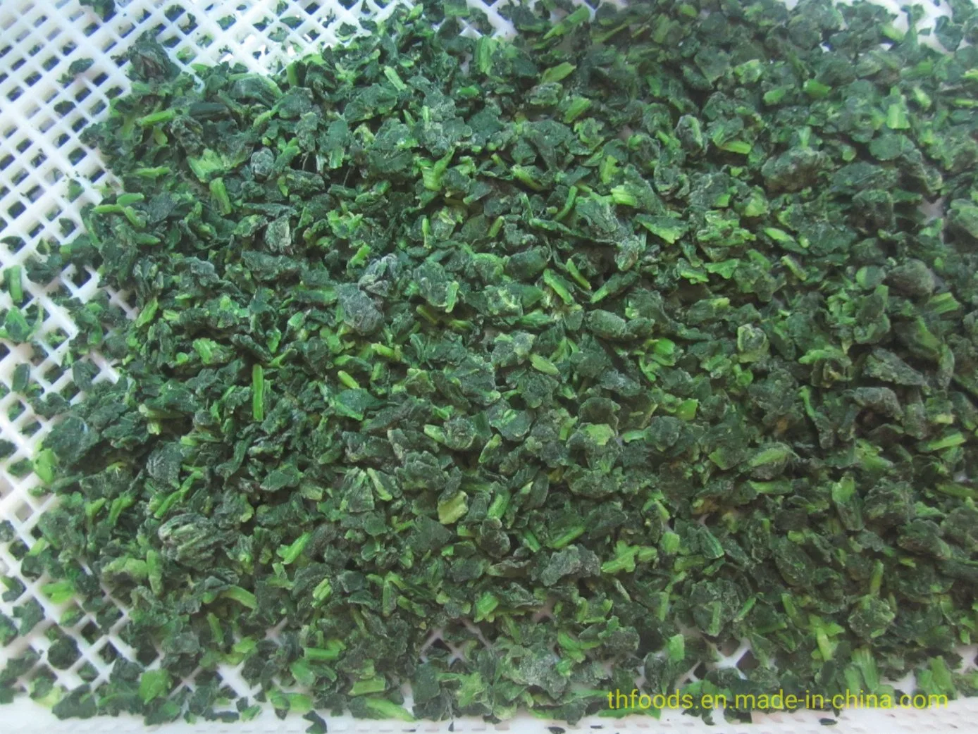 Espinacas picadas IQF a bajo precio de proveedor experimentado