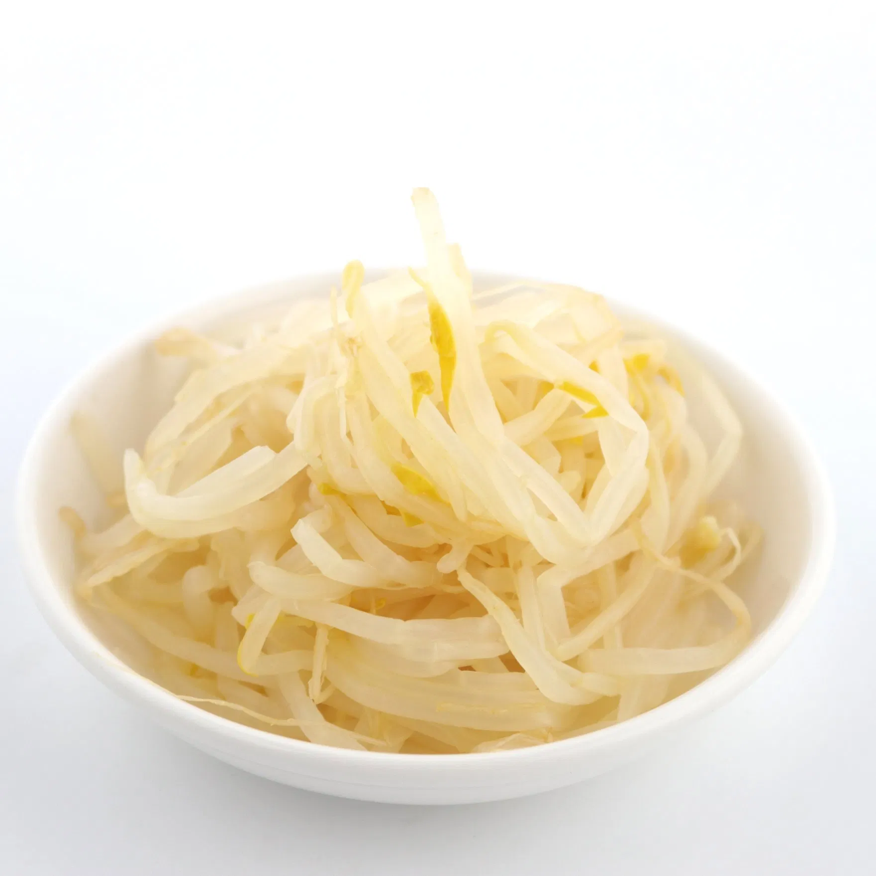 Brotes de frijol enlatados de alta calidad de China