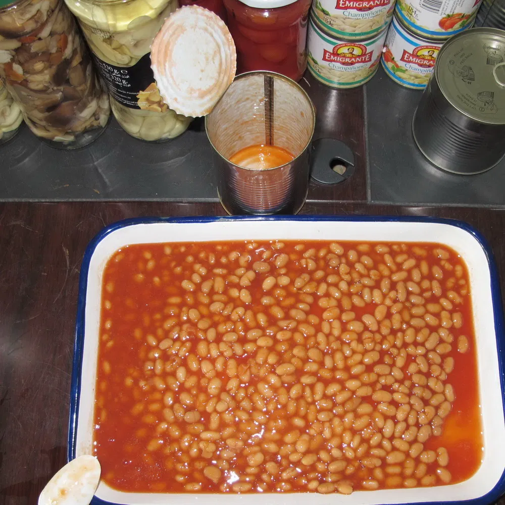 Frijoles horneados enlatados en salsa de tomate de alta venta 227g/425g