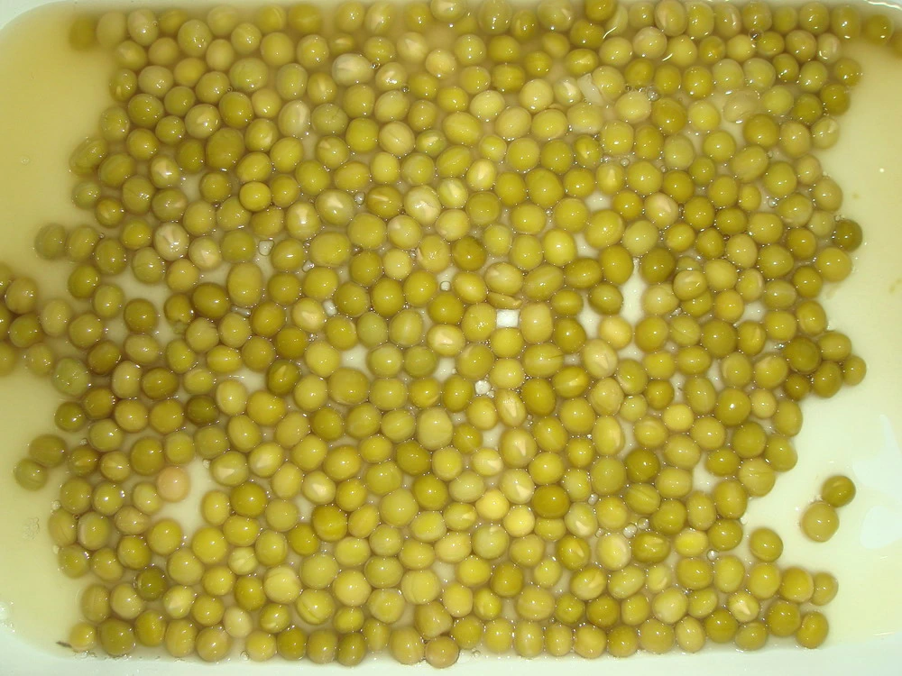 Guisantes enlatados a bajo precio de China