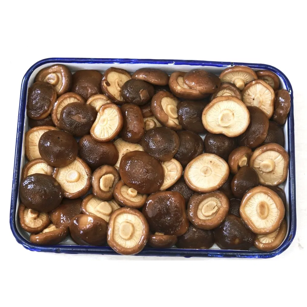 Rebanadas de tallo de champiñón shiitake enlatado ecológico para almuerzo de oficina
