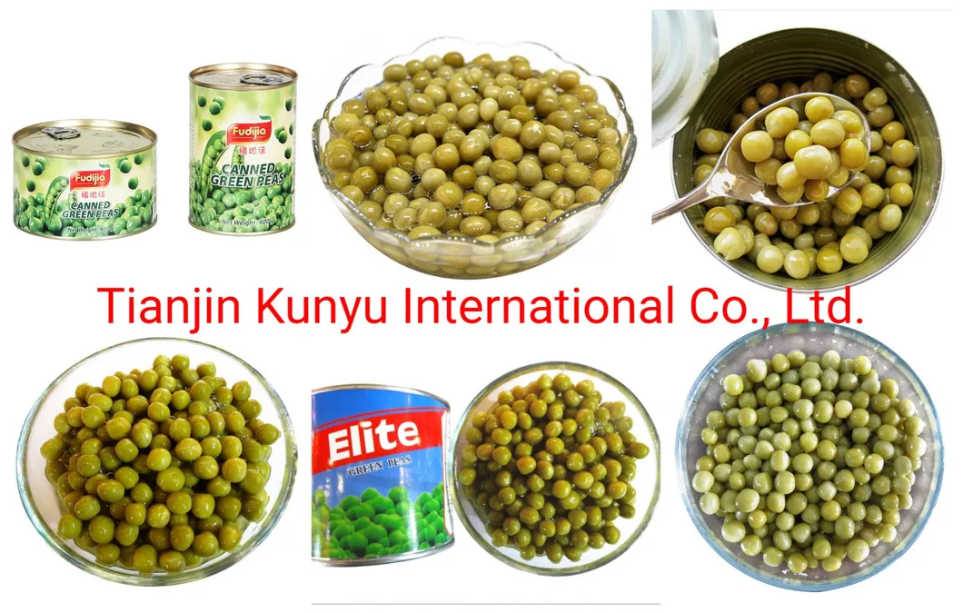 Frijoles enlatados Guisantes verdes frescos enlatados 400g con precio competitivo