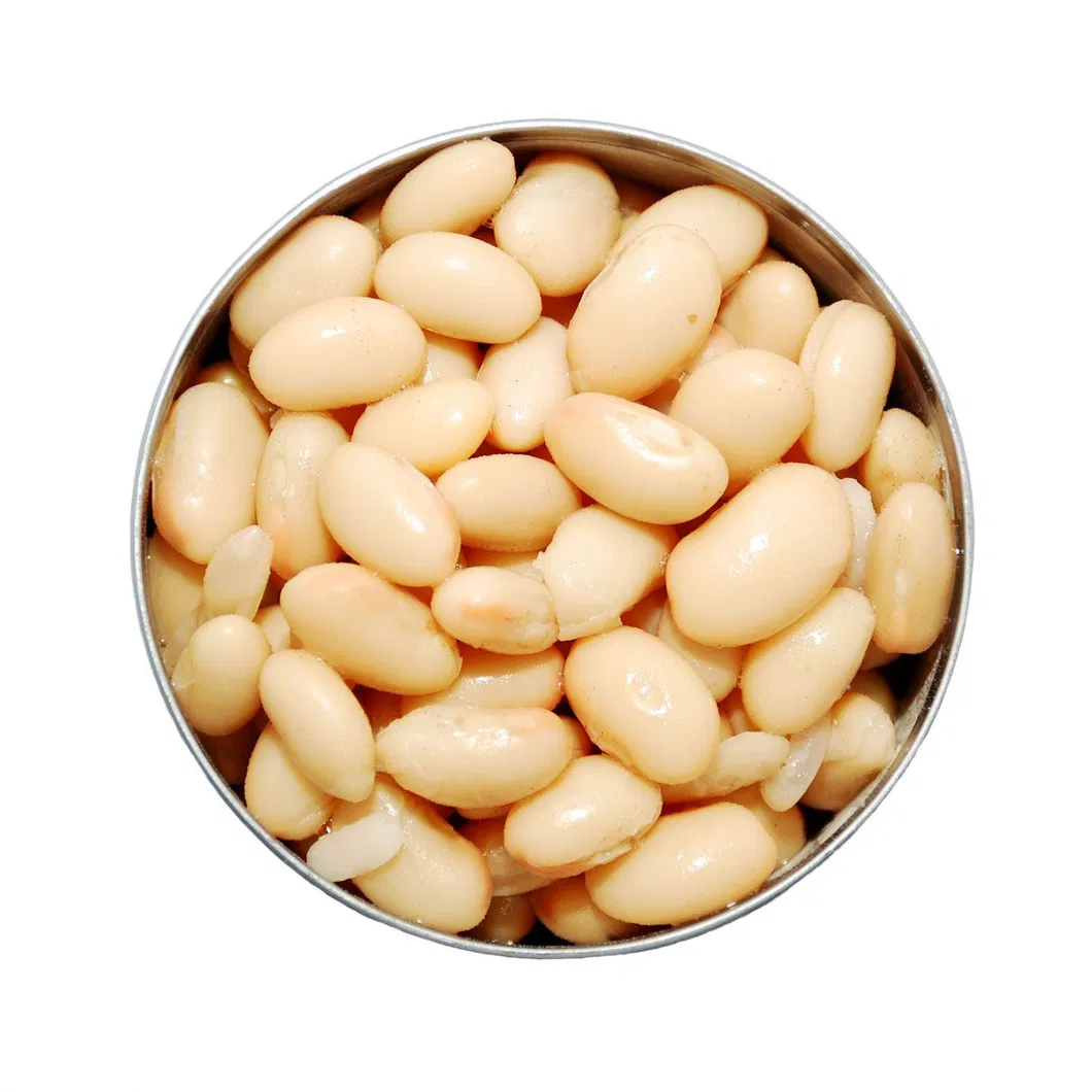 Frijoles blancos enlatados 1