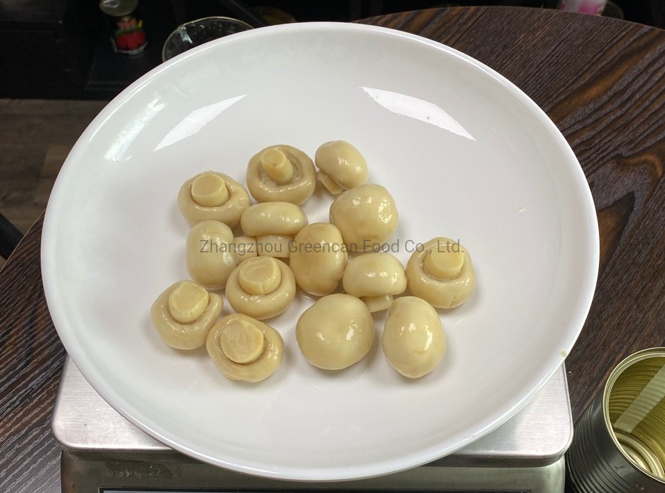 Comida enlatada champiñón fresco enlatado con marca privada