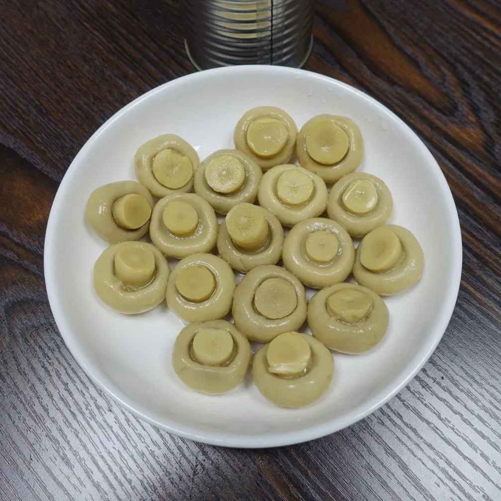 Champiñón de China en lata o frasco de vidrio de fábrica